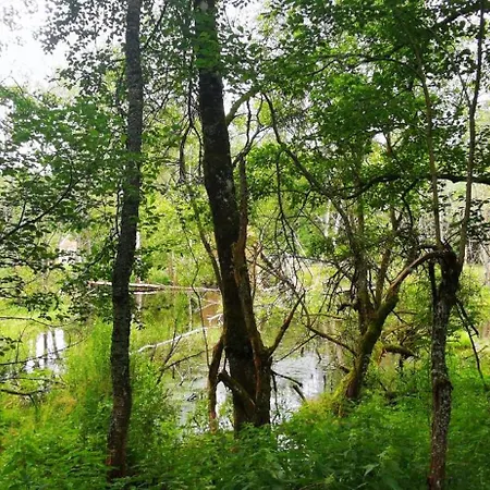 Lägenhetshotell 100 - Prasily